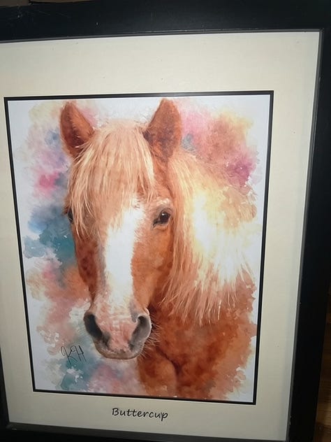 Paintings of horses by Krystal Hindman