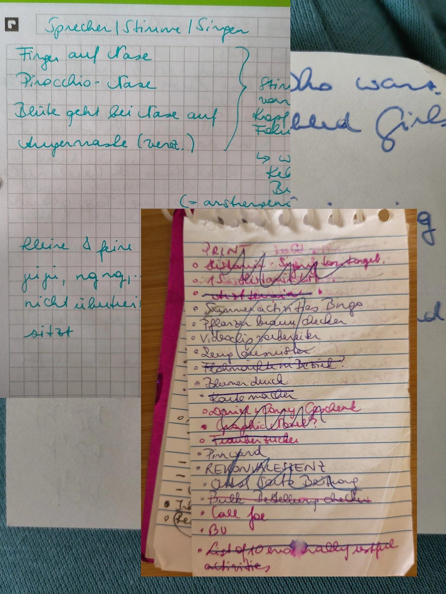 The picture shows a collage of different lists the author has written in the past. Most of the writing is not legible or comprehensible and is written in a mixture of English and German. 