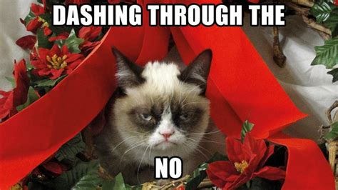 Grumpy Cat Meme Pictures Humor Funny Cats Christmas Best Funny Mobile ...