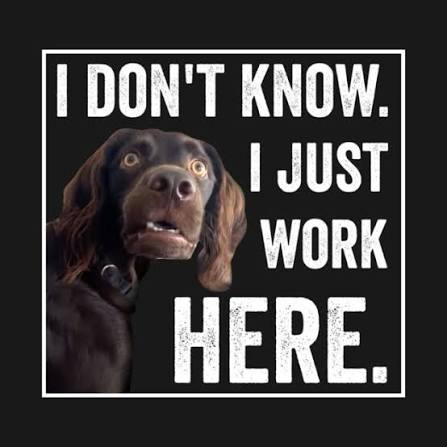 I Dont Know I Just Work Here Funny Confused Dog Meme T-Shirt