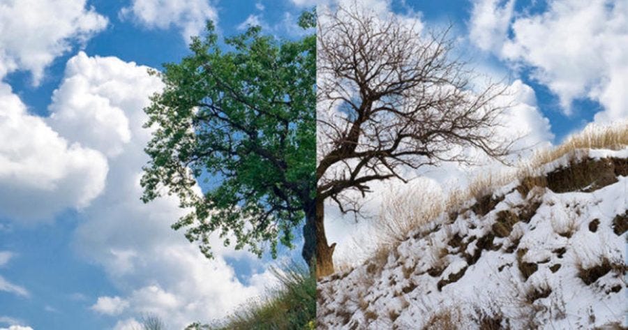 Snowmiser vs. Heatmiser: Dubs give their input regarding whether they prefer the cold winter months or the humid summer days. Snowmiser vs. Heatmiser: Dubs give their input regarding whether they prefer the cold winter months or the humid summer days.