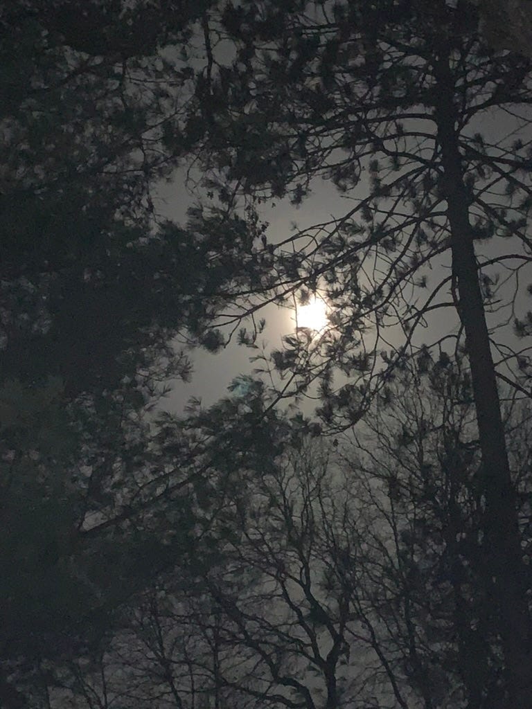 A moon in the sky

Description automatically generated
