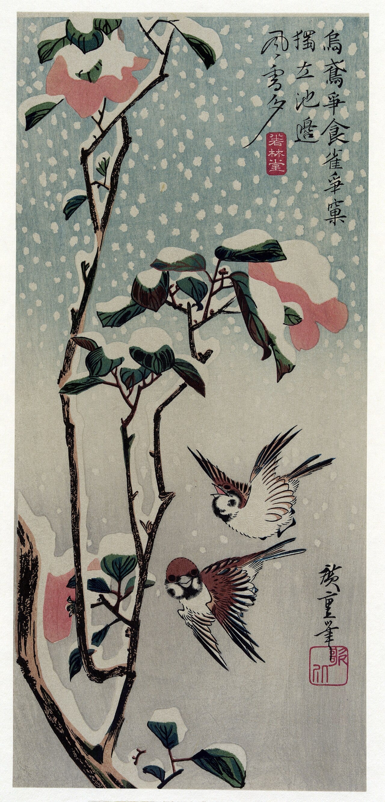 A small bird among camellia or plum blossom, cropped close in a tall narrow print A small bird among camellia or plum blossom, cropped close in a tall narrow print