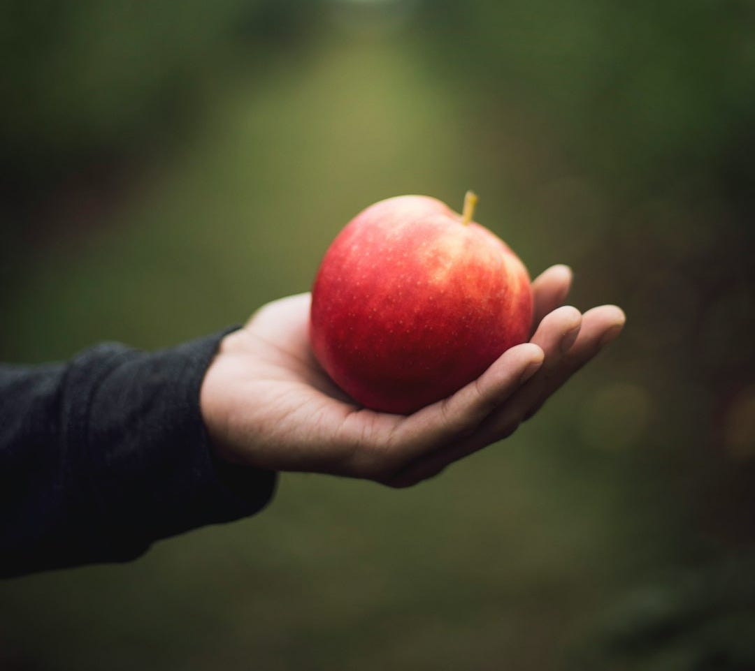 apple on person's hand