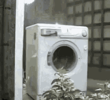 Crazy Washing Machine GIFs | Tenor