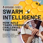 The Agile Chronicles