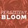 Persistent Bloom