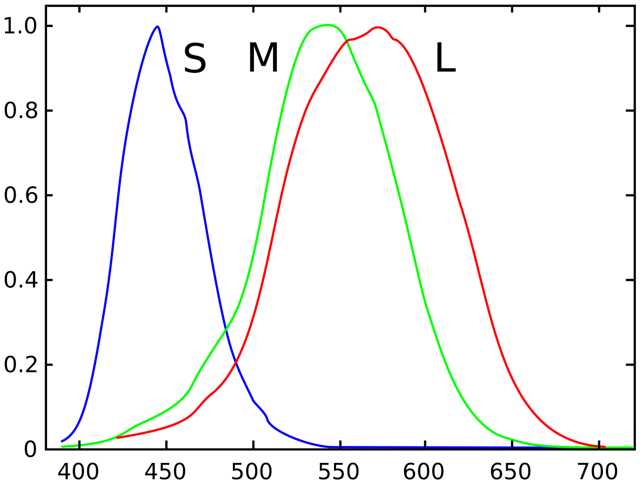 a chart with peaks - blue at around 450, green at 540 and red at 580 a chart with peaks - blue at around 450, green at 540 and red at 580