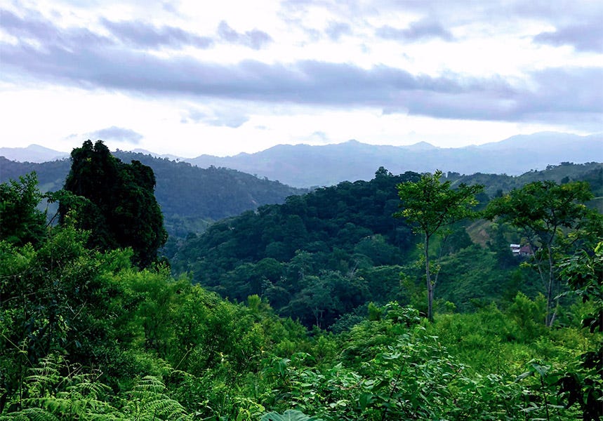 La Cuidad Perdida/The Lost City Tour – Santa Marta