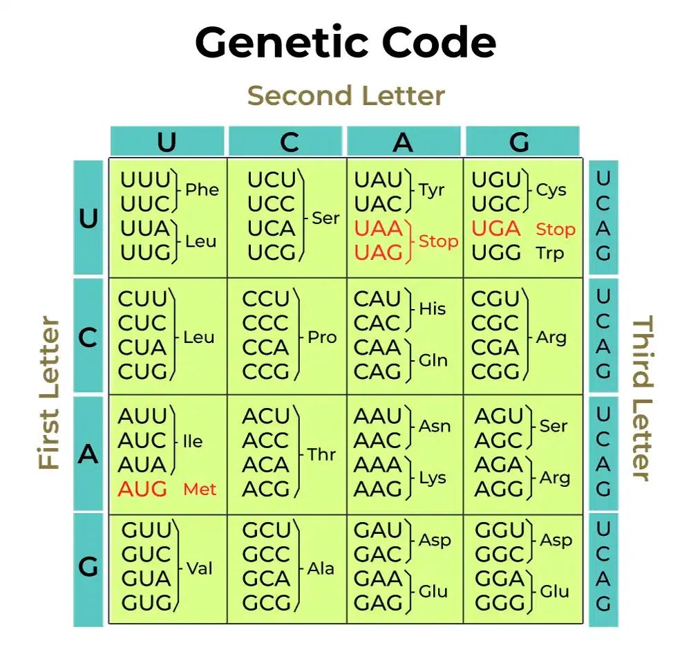 Genetic Code – Molecular Basis of Inheritance | GeeksforGeeks