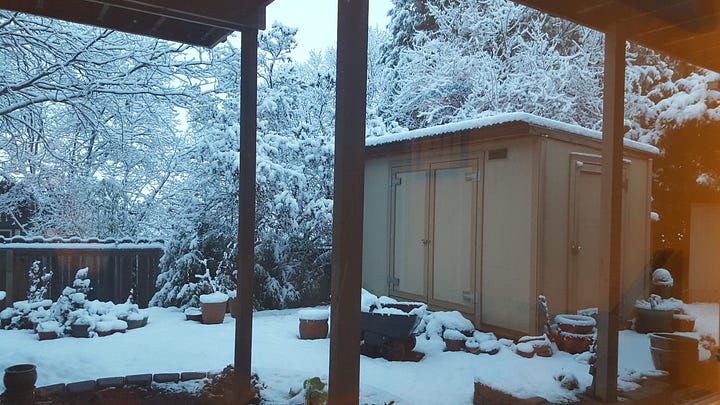 pictures of an unpainted 8 x 10 garden shed, stripped to the basics.