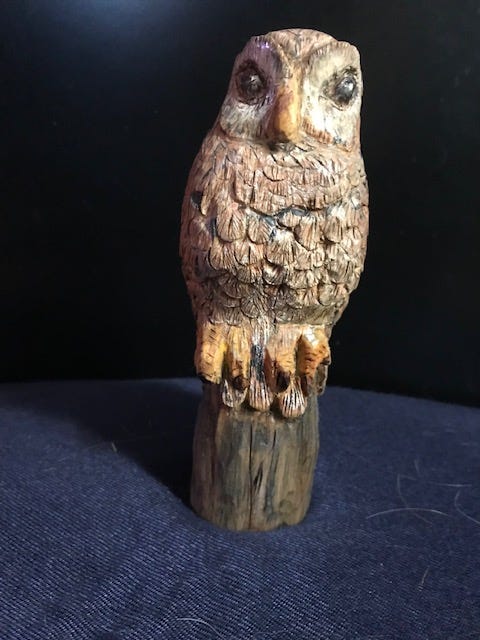 Owl by Janet Wolfinger 2012