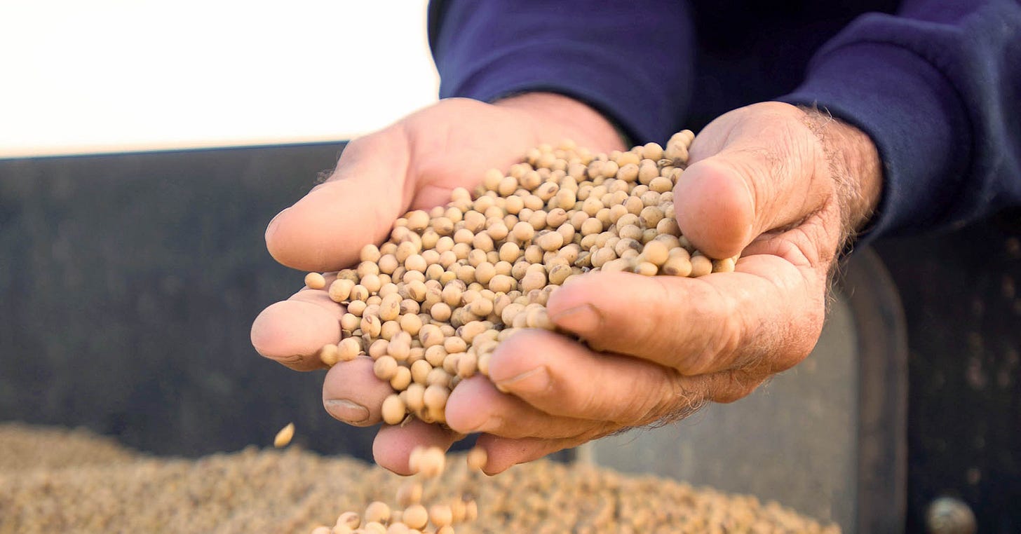 May WASDE Report Offers Mixed Outlook for U.S. Soybeans