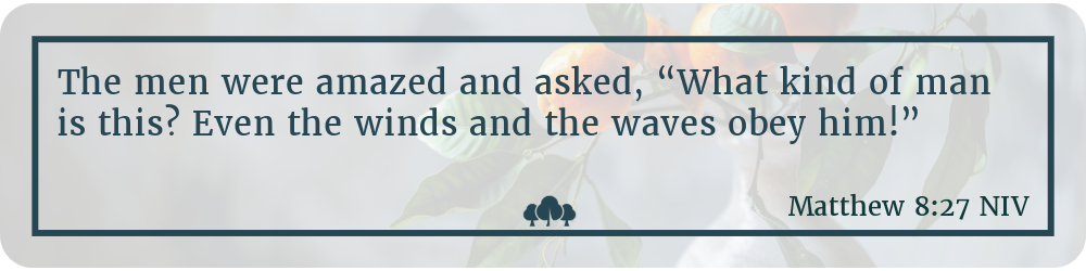 Matthew 8:27