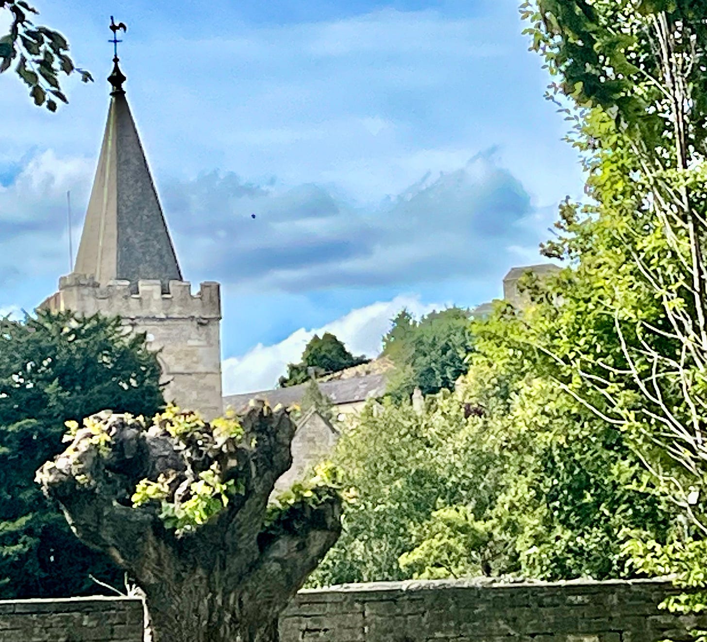 A tree and a building with a tower

AI-generated content may be incorrect.