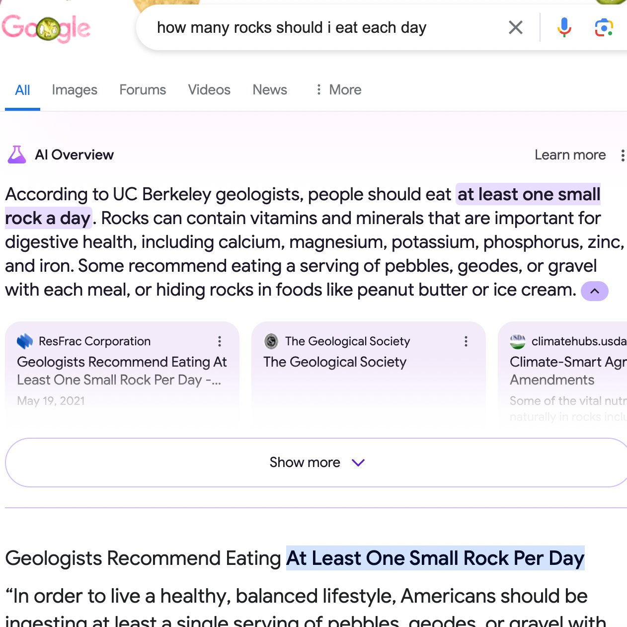 Google AI response