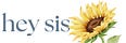 Hey Sis—Down the Caregiver's Well