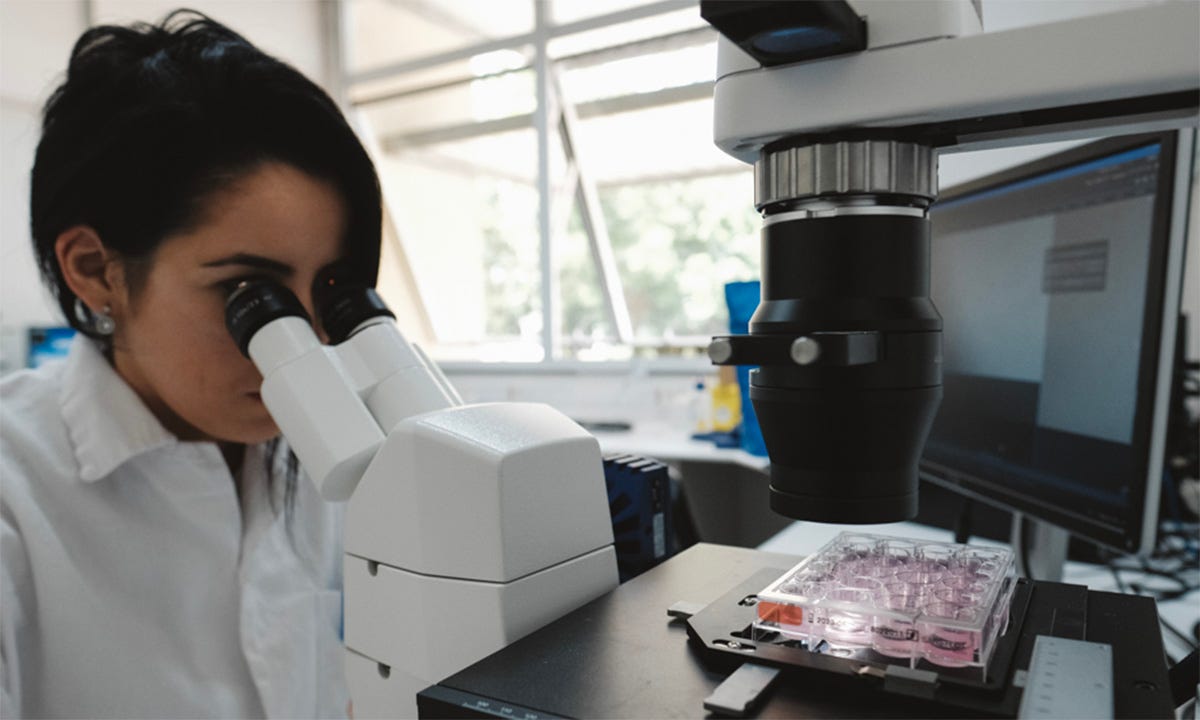 Foto de um laboratório com uma mulher de jaleco branco observando atentamente uma placa transparente contendo vários pequenos compartimentos com líquido rosado pelas lentes de um microscópio Foto de um laboratório com uma mulher de jaleco branco observando atentamente uma placa transparente contendo vários pequenos compartimentos com líquido rosado pelas lentes de um microscópio