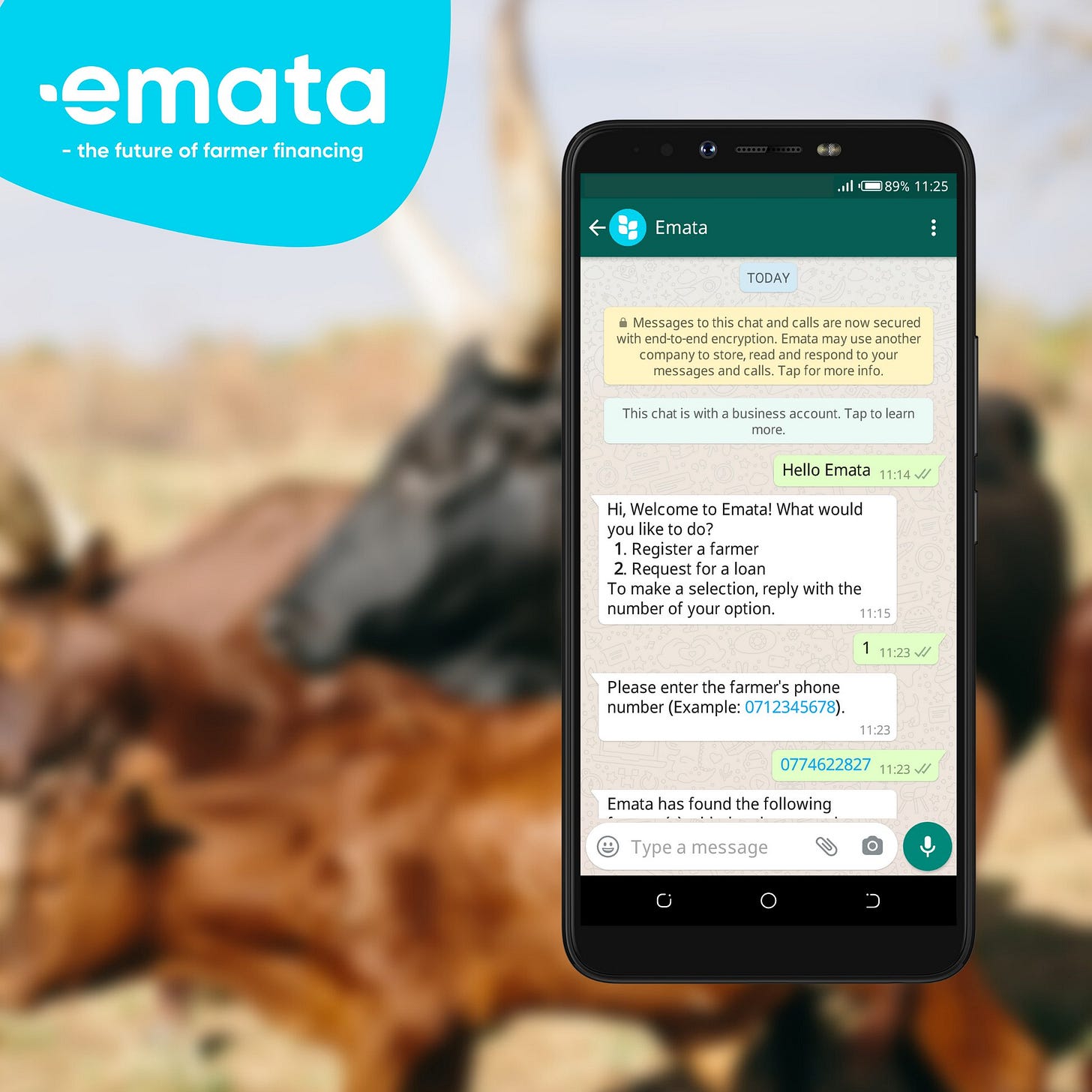 Emata on X: "You don't always need an app! ✓ Cooperatives, aggregators and farmers use WhatsApp to register and apply for our loans. This saves space on the phone and makes use Emata on X: "You don't always need an app! ✓ Cooperatives, aggregators and farmers use WhatsApp to register and apply for our loans. This saves space on the phone and makes use