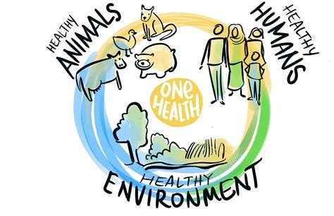 Nasce l'Intergruppo Parlamentare "One Health" - MedicinaNarrativa.eu