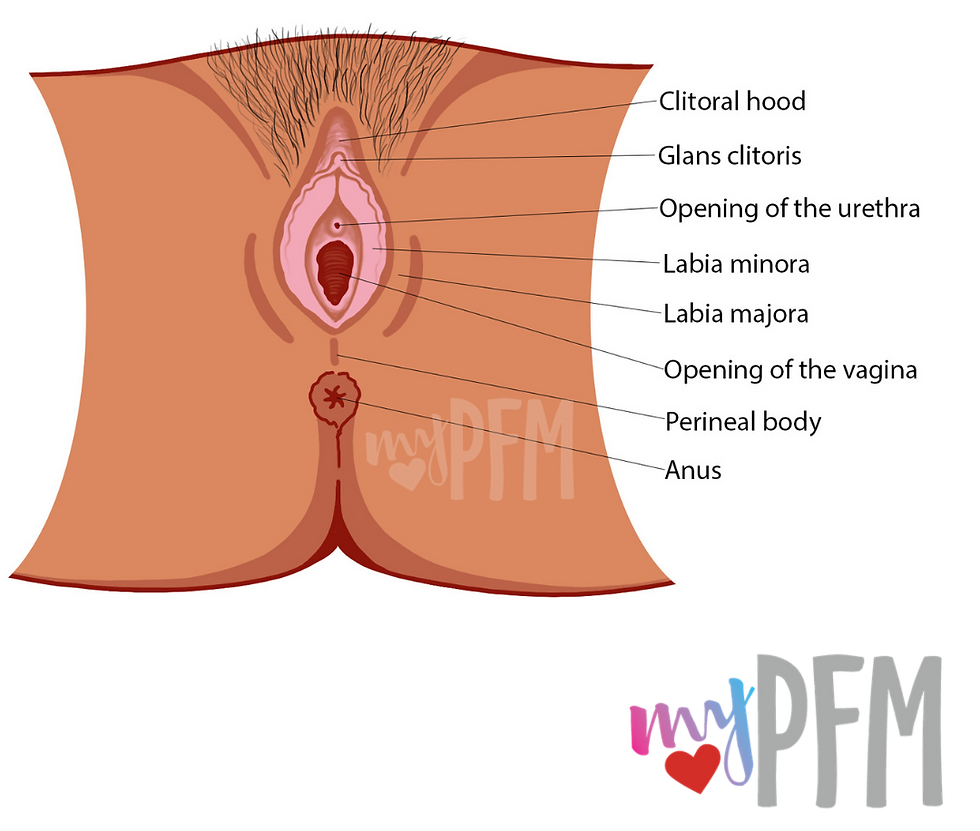 Sexual Health Awareness Month