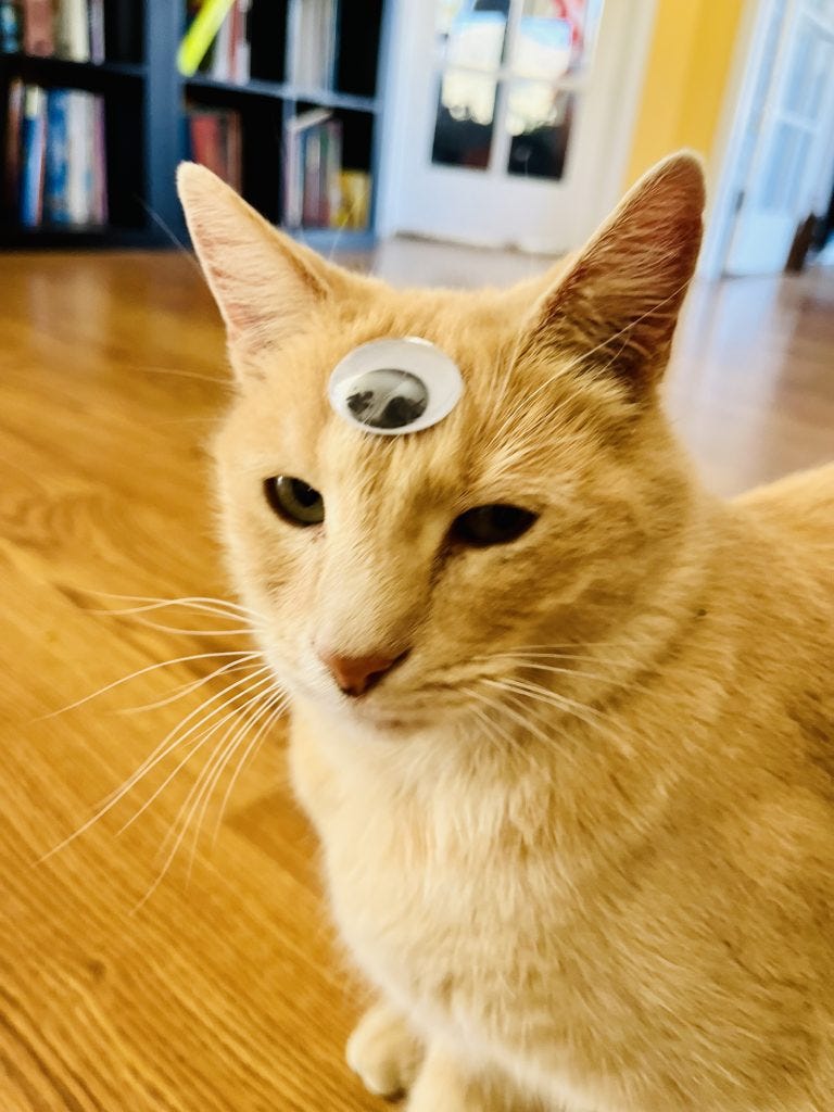 Inspired by Everything Everywhere/ Loscotoff 2022