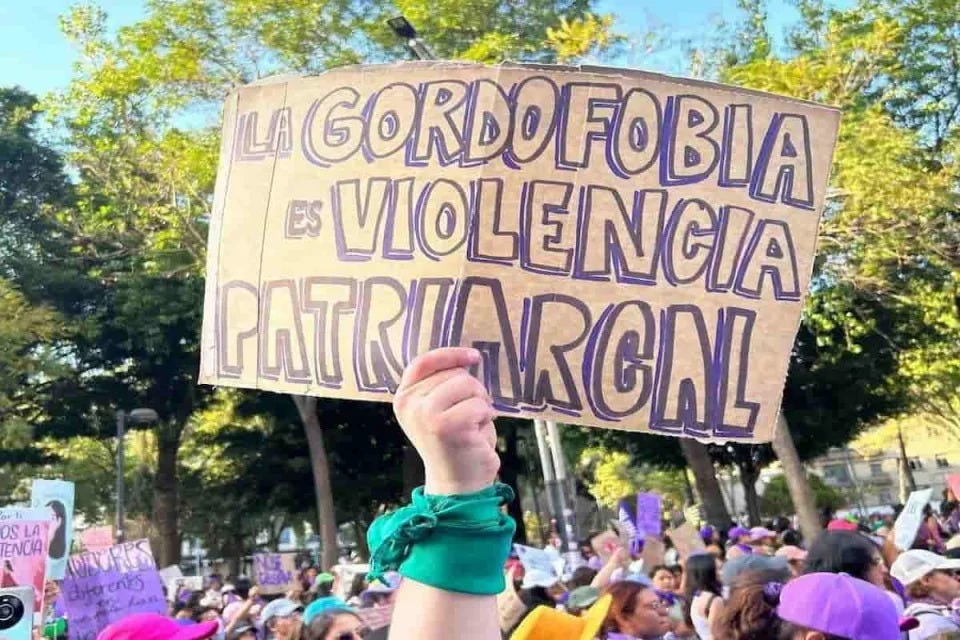 Pancarta que dice La Gordofobia es violencia patriarcal. Noticias Gordas. La Gorda Feminista.