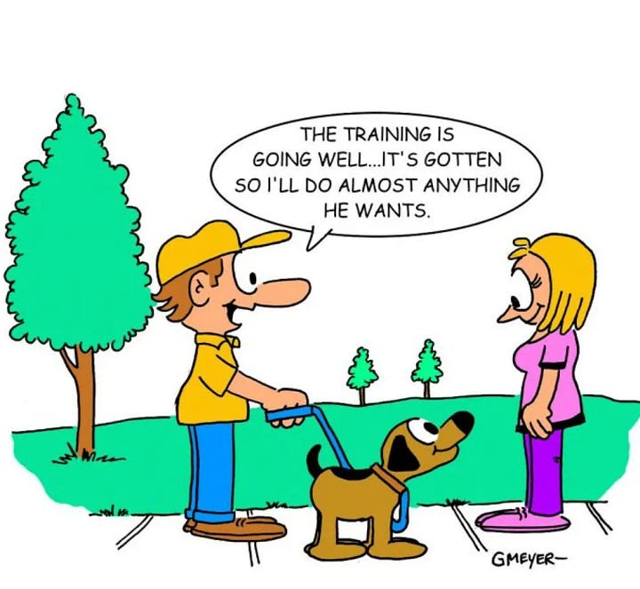 Day Brighteners (or not)