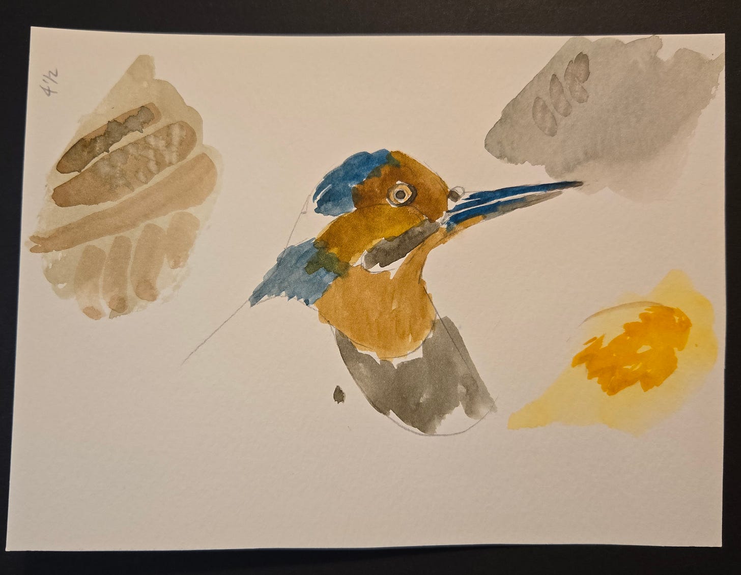 Watercolor study of a bird’s head with blue and orange plumage, surrounded by brown, gray, and yellow paint swatches for testing.