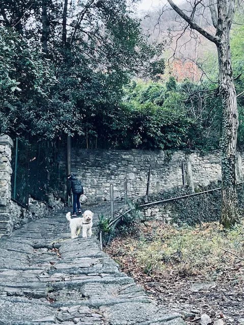 Two-way roads driven daily to my in-laws house and my old house when I first moved to Italy