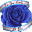 Elias W.'s avatar