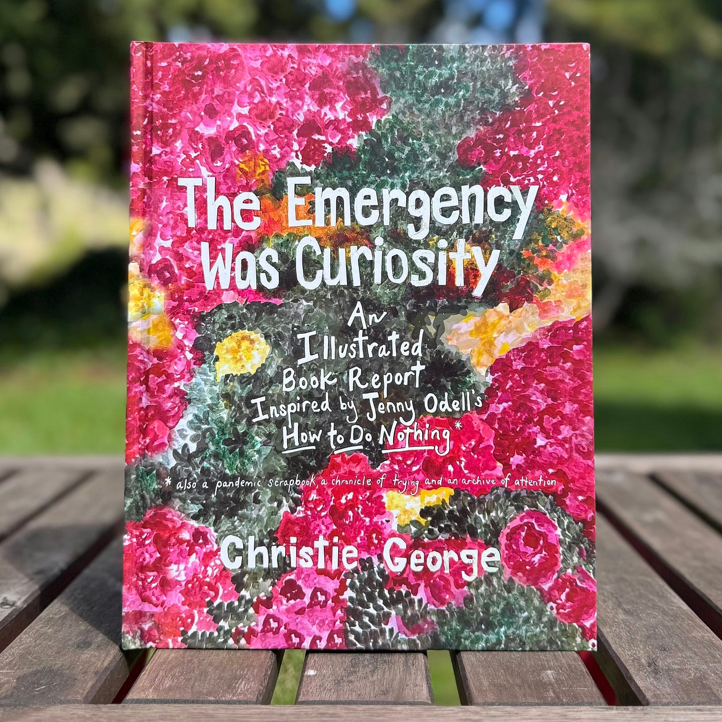 What started as a zine - a personal creative response to a beloved book - evolved into a 200-page hand-illustrated archive of attention. 