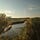 The Stream
