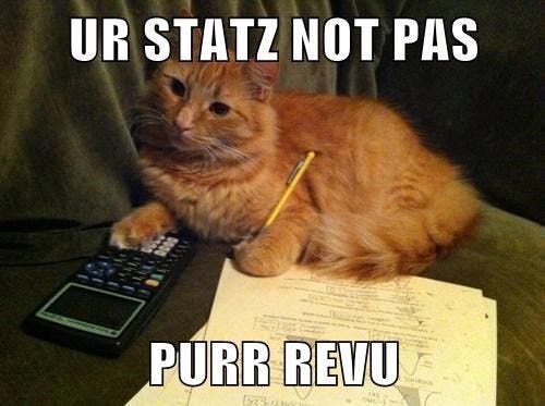 This One&#39;s A Real Stickler - Lolcats - lol | cat memes | funny cats | funny  cat pictures with words on them | funny pictures | lol cat memes | lol cats