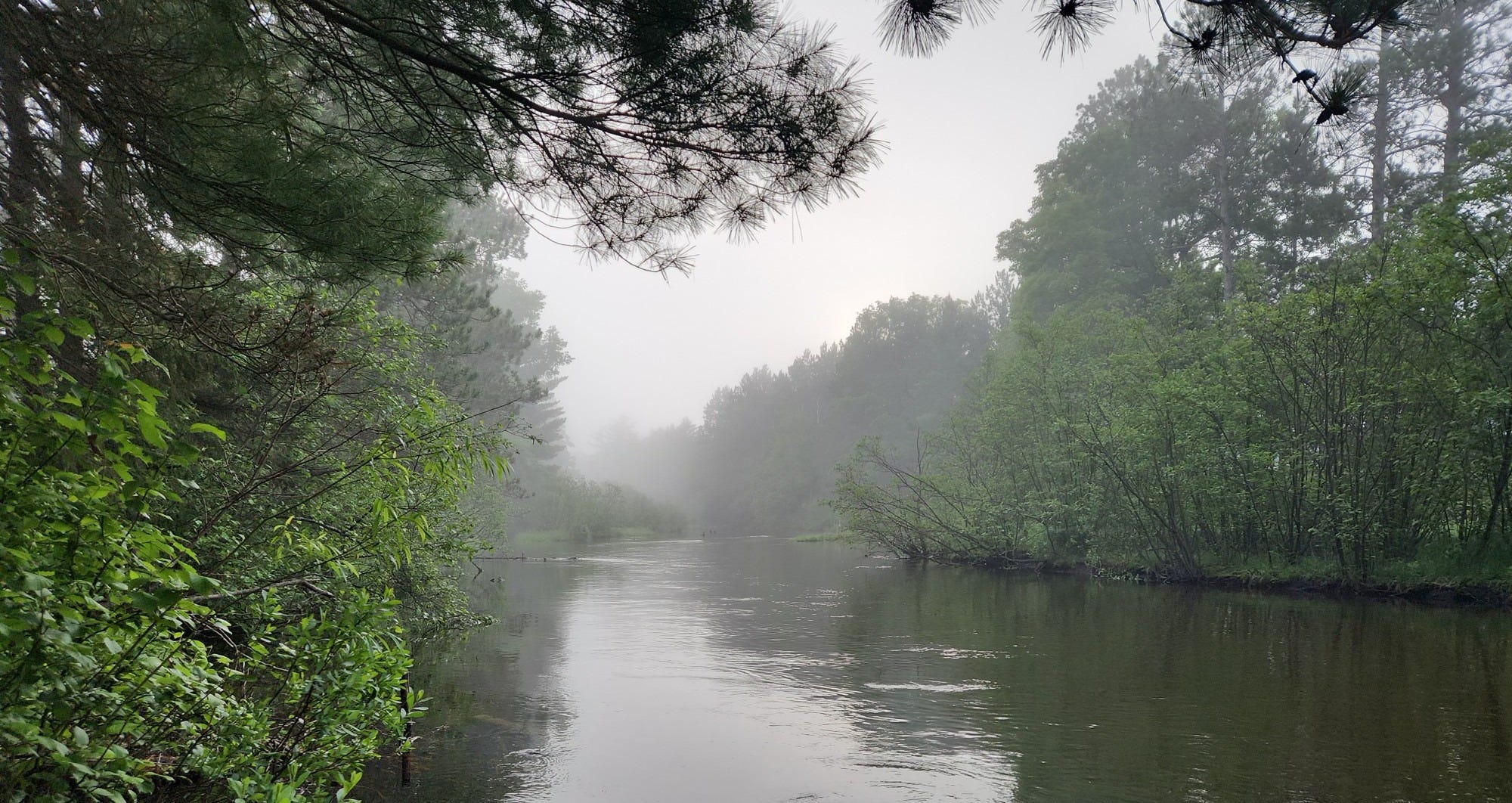 a photo of a river with fog
