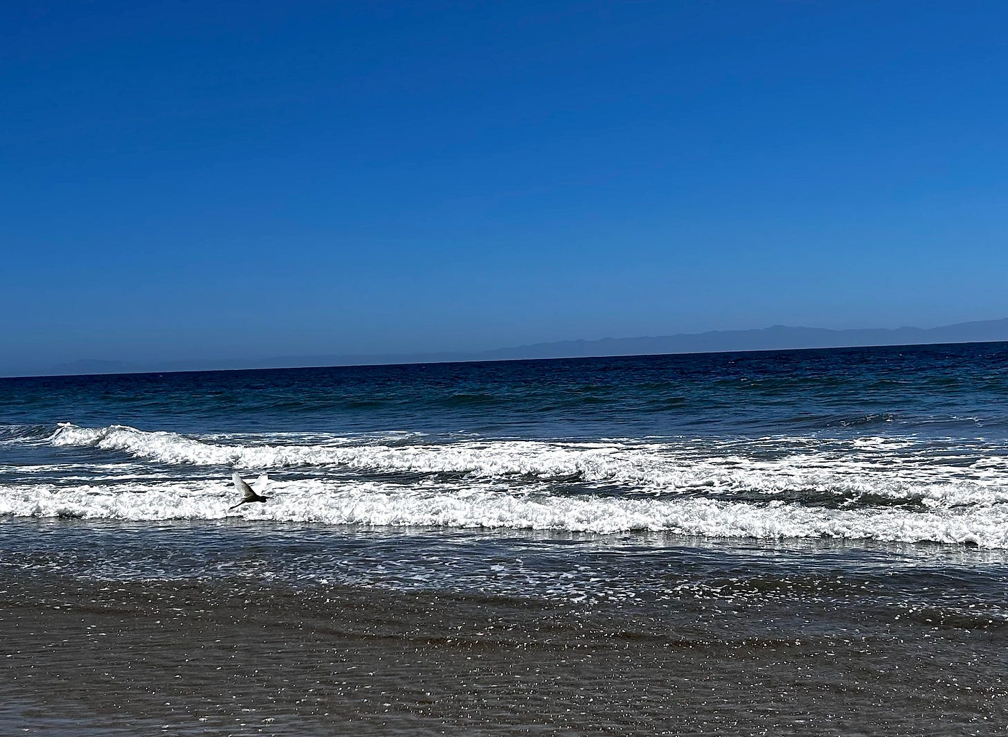 A shoreline with an ocean and faint hint of islands in the background, in the foreground, a small white bird flying close to the white surf