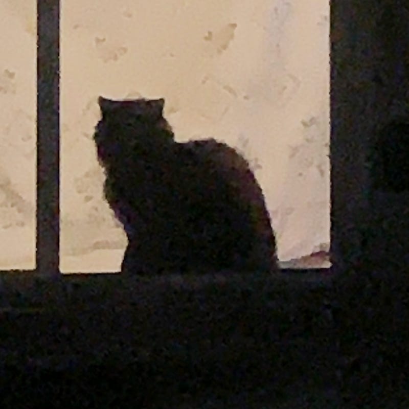 The End of the World Arts