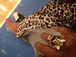 A handler (Jay Z) and his kitten