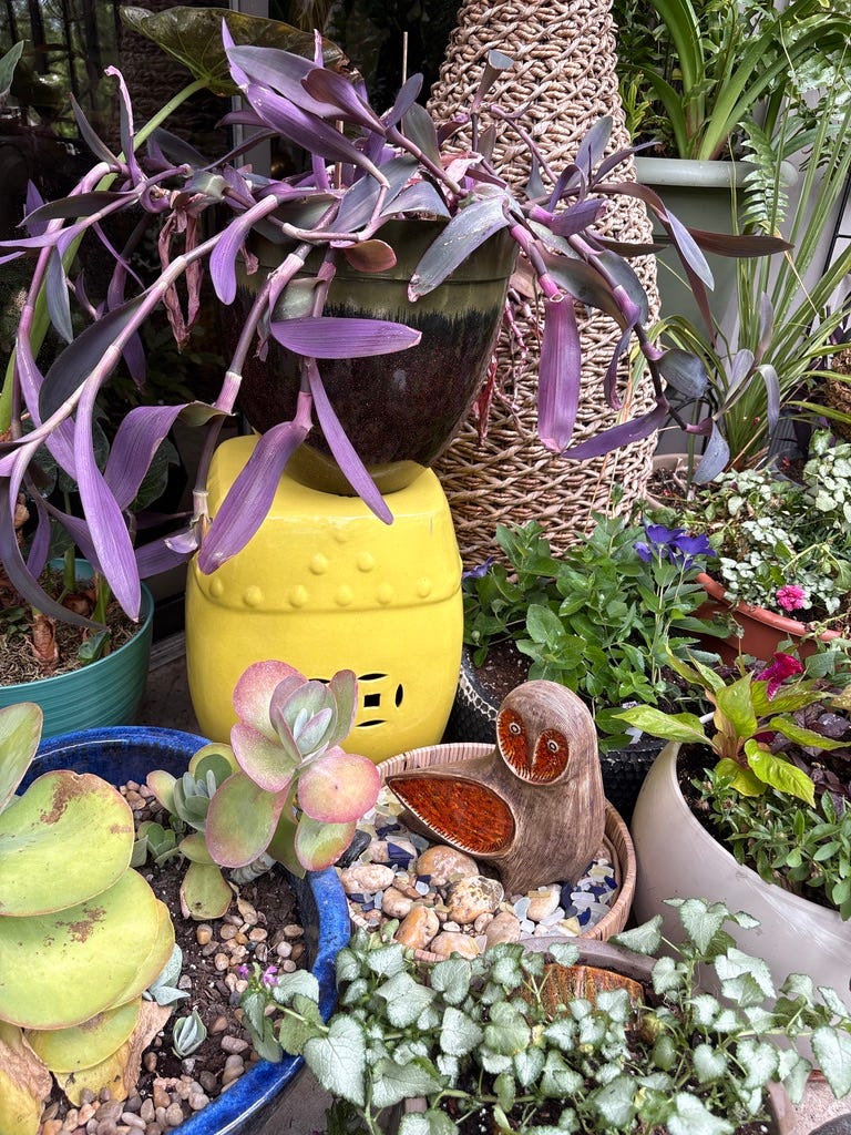 a balcony garden including an owl statue