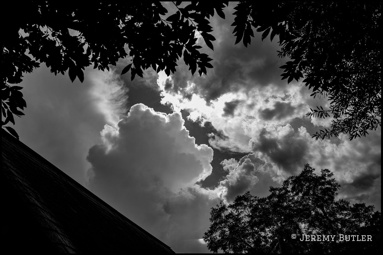 Black and white upward view of dramatic storm clouds framed by dark silhouetted tree branches and a rooftop. Black and white upward view of dramatic storm clouds framed by dark silhouetted tree branches and a rooftop.