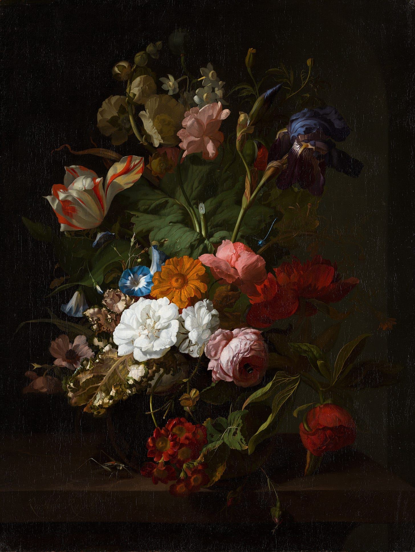 Rachel Ruysch, Flowers in a Vase, about 1700 Rachel Ruysch, Flowers in a Vase, about 1700