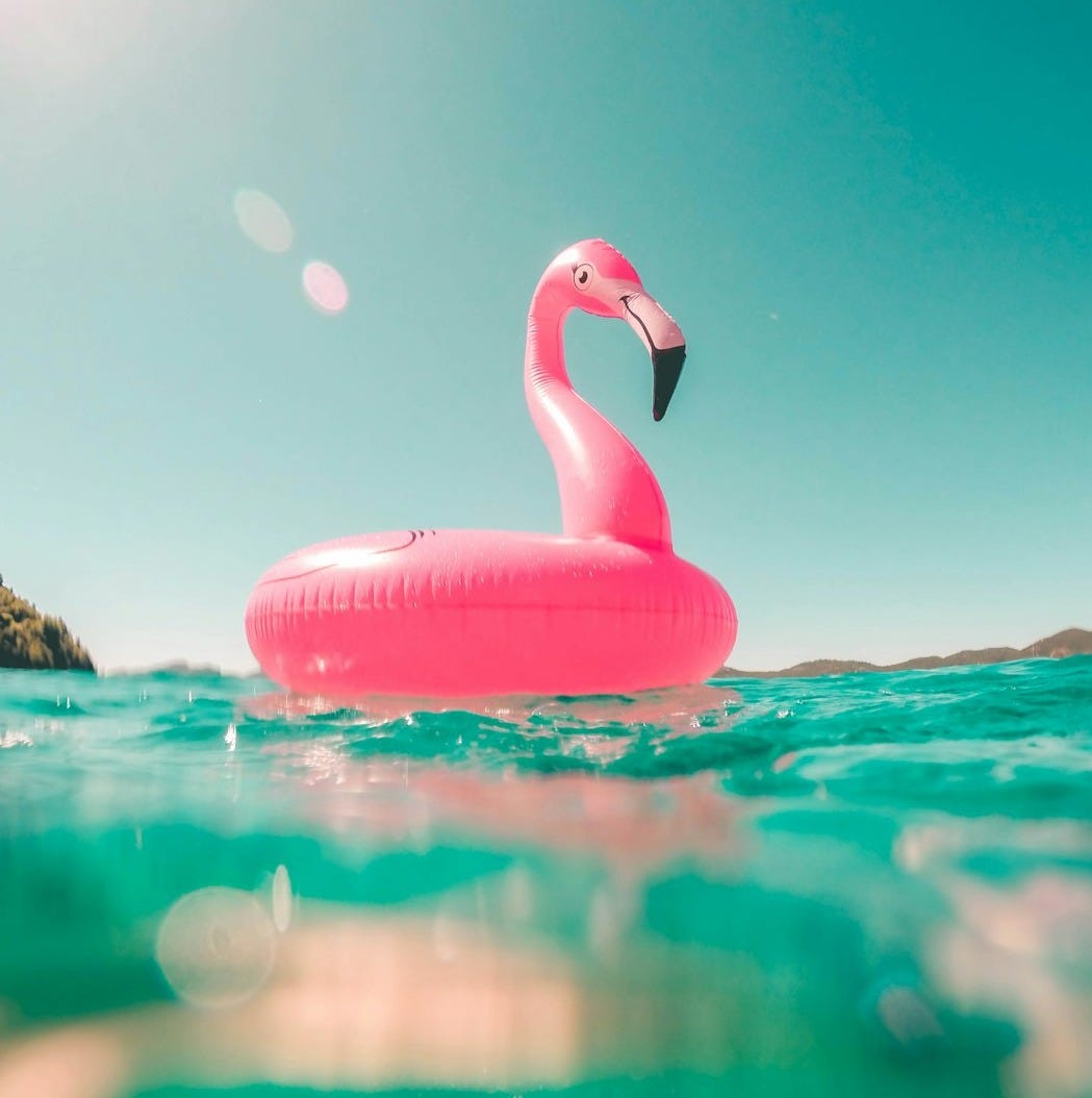 pink flamingo swim ring on body of water in summer