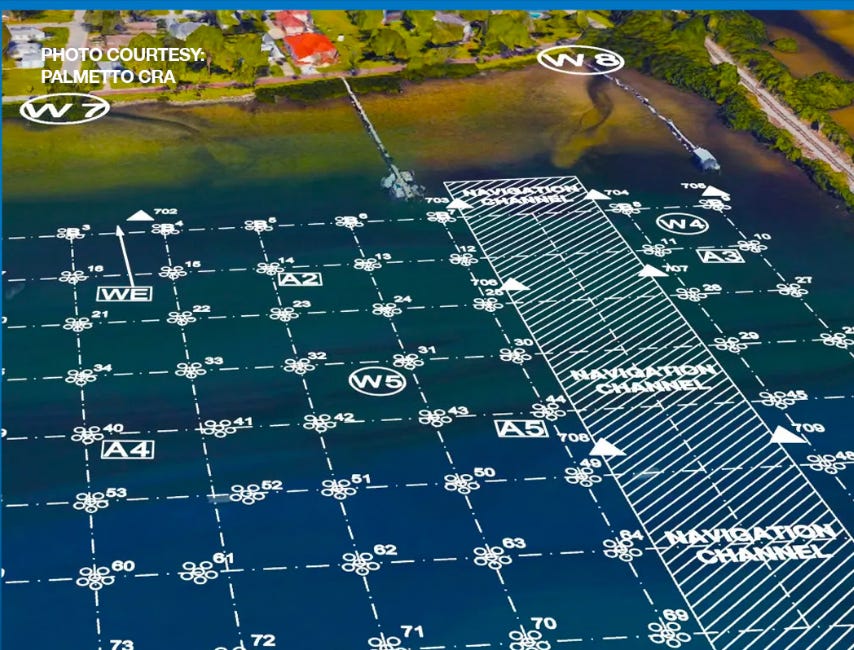 Palmetto Launches Oyster Reef Restoration Project to Monitor Environmental Benefits