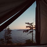 nectar, story & bone