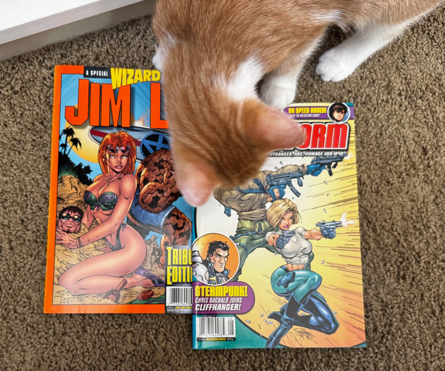 The back of a cat's head as the cat looks at two Wizard Magazine covers