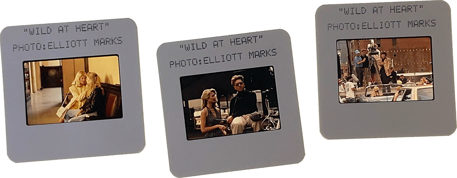 WILD AT HEART slides; photos by Elliott Marks.