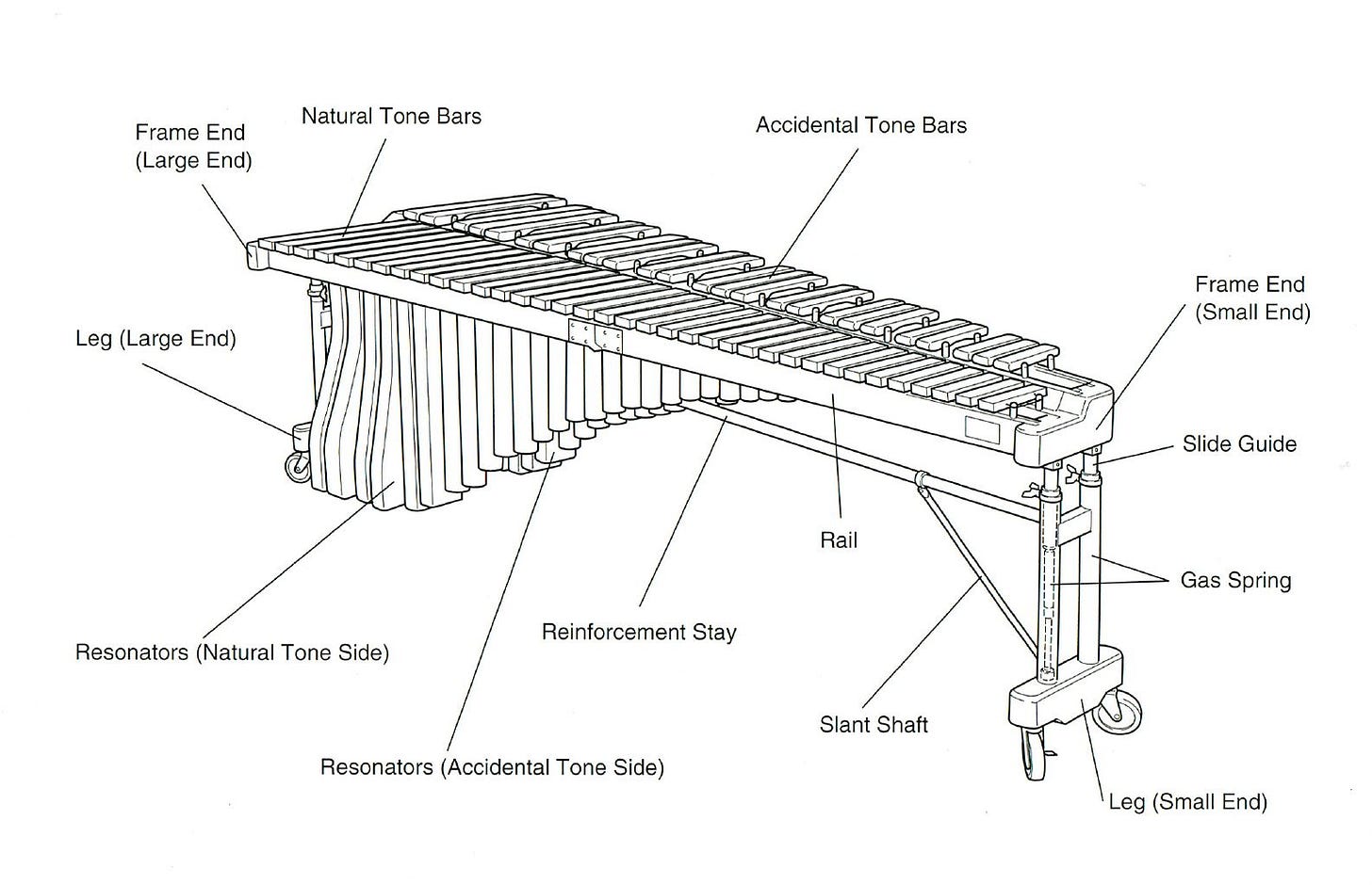 Anatomy of a Marimba Anatomy of a Marimba