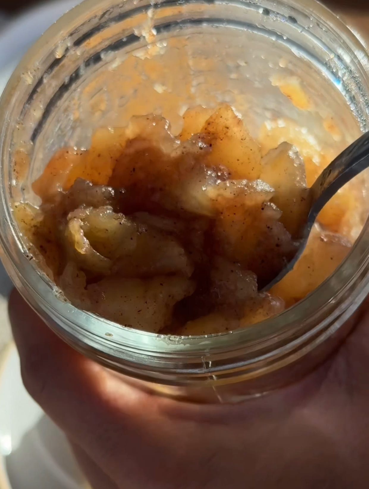 this homemade apple compote will become a staple EASY fall recipe for you