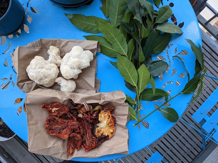 lion's mane mushrooms, sundried tomatoes and bay leaves at the peoples weekly farmers market lion's mane mushrooms, sundried tomatoes and bay leaves at the peoples weekly farmers market