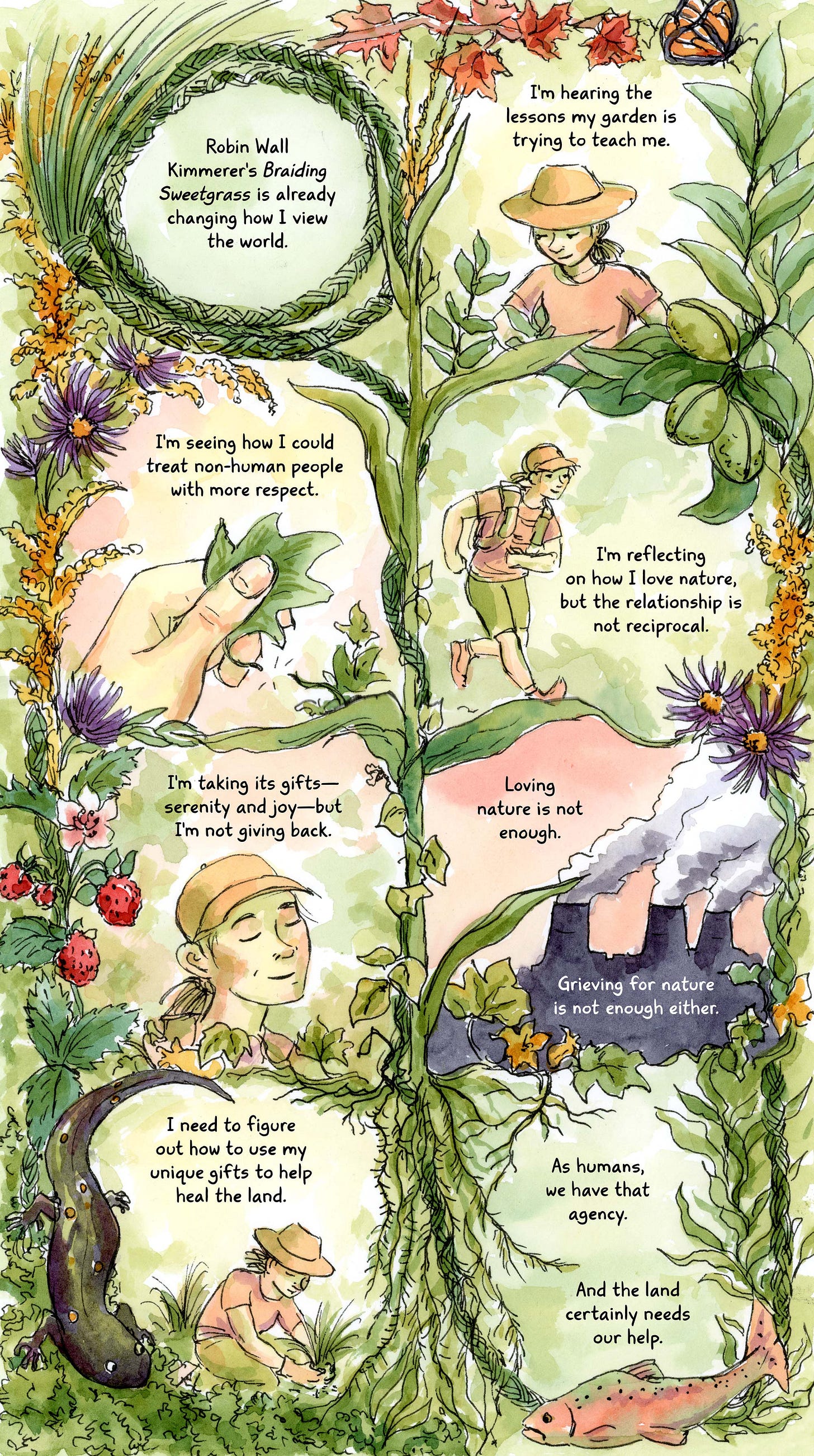 A watercolor book review of Robin Wall Kimmerer's Braiding Sweetgrass by artist K. Woodman-Maynard